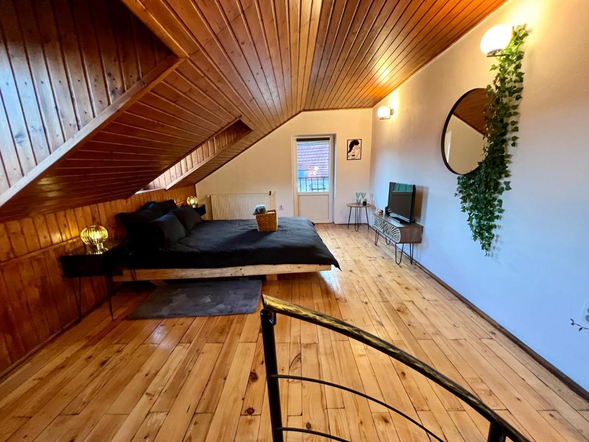 Nacada Studio By Hyco Apartment Sighisoara Exterior photo