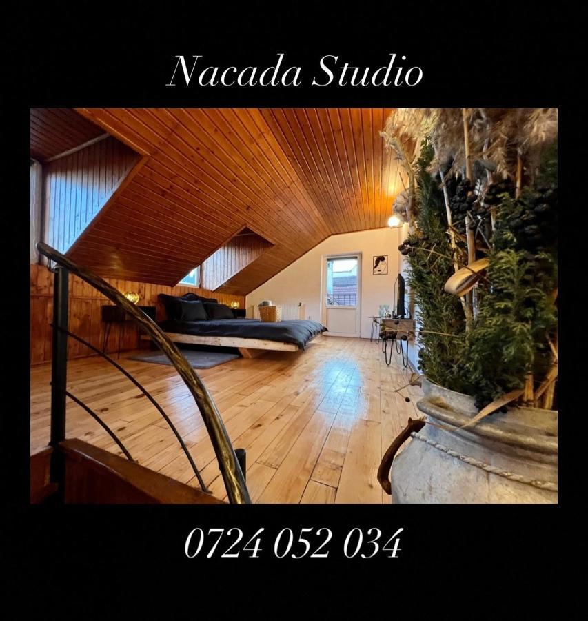 Nacada Studio By Hyco Apartment Sighisoara Exterior photo